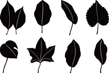 Obraz premium Set of different leaves silhouette