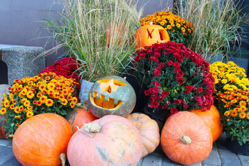 autumn still life with pumpkins