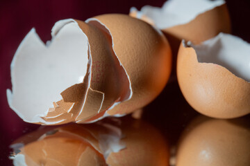 broken egg shells