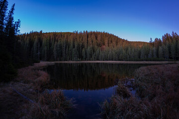A tranquil view of Maricheyka Lake surrounded by a dense forest in the Carpathian Mountains, Ukraine. This high-quality image captures the serene beauty of the natural landscape, perfect for concepts
