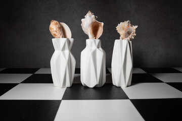 seashells and vases on black and white background