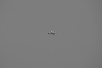 Dorval 19 Octobre 2024 (95)