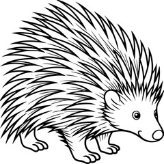 Porcupine