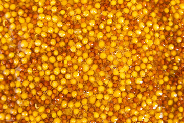 French Dijon mustard background, close-up, top view.