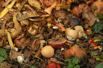 Compost pile made of organic food, leaves, vegetable and fruit waste mix