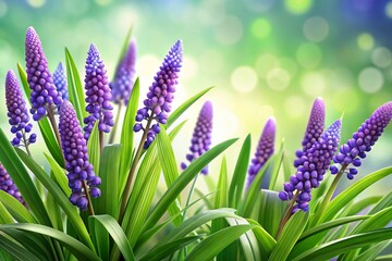 Fototapeta premium 3D Liriope Muscari Flower Illustration on White Background for Botanical Designs