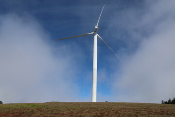 Windrad im Nebel