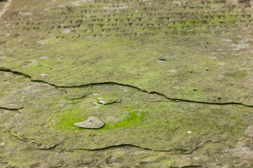 An old tombstone with moss on it.