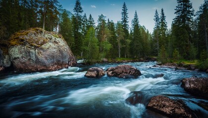 un r&iacute;o en el bosque, con rapidos y peque&ntilde;os saltos de agua