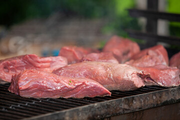 Juicy and tender cuts of meat are grilling on a barbecue, creating a delicious outdoor feast for everyone