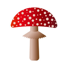 Spotted red fly agaric mushroom isolated on white background. Vector.
