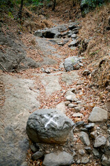 stone with cross mark showing wrong way on the trail