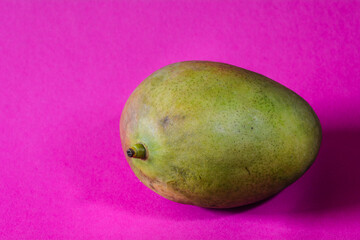 Ripe single mango fruit studio photo isolated with text space