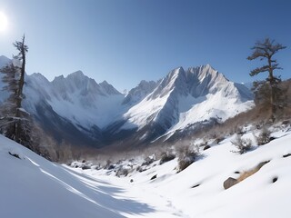 ski resort