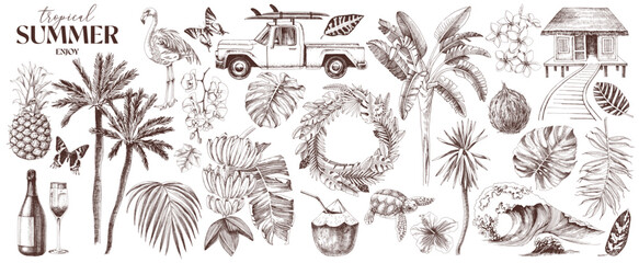 Tropical Hawaii vector super set © Marina Gorskaya
