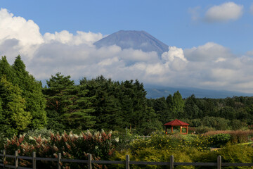 Japan&rsquo;s Mt. Fuji in summer season