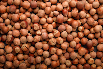 many raw hazelnuts in shells, making total background, natural food texture, pattern. Top view