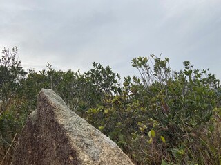 Hong Kong Dragon Trail Hiking on the  Water Oceanside Island China Guangdong Macau Area