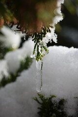 Winter with a lot of snow and ice