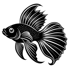 illustration of fish