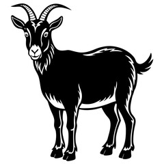 Obraz premium goat on white