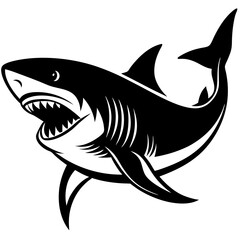 shark illustration