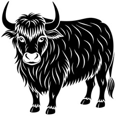 black and white cow