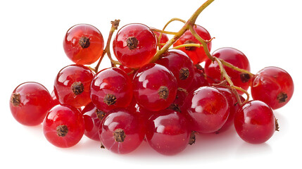 Red currant berries isolated on white background