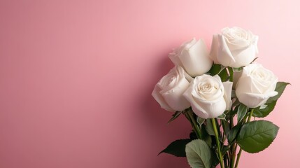 A simple and elegant bouquet of white roses set against a classic soft pink backdrop evokes feelings of timeless romance and sophistication.