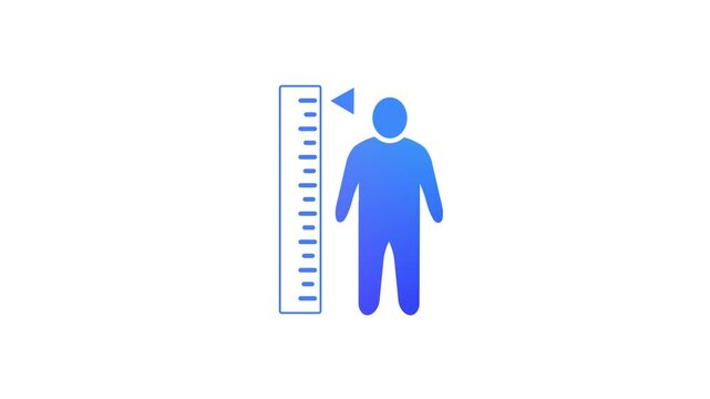 Measuring height body icon. Human body size growth measuring icon animation. A person with a height measurement scale.