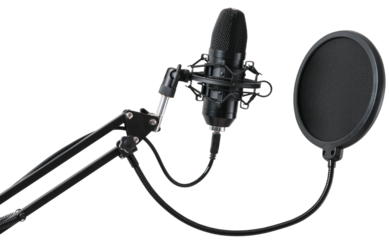Professional studio microphone for voice recording with pop filter isolated on a transparent background.