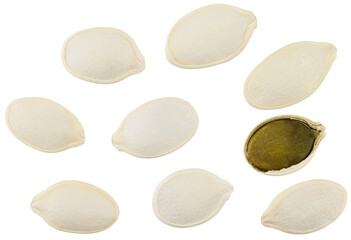 Scattered roasted pumpkin seeds isolated on a transparent background. Completely in focus. Top view.