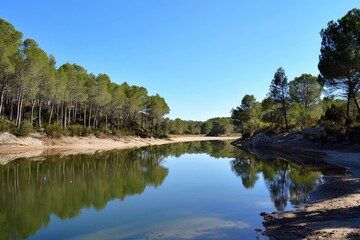 Tranquil river reflecting green trees and blue sky in a serene natural landscape