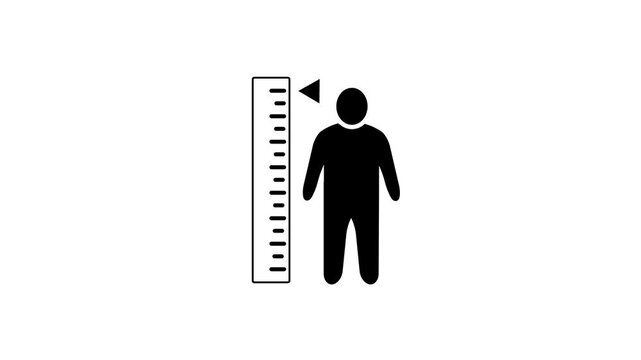 Measuring height body icon. Human body size growth measuring icon animation. A person with a height measurement scale.