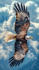 Obraz premium Sovereign Skies: Bald Eagle in Flight Panorama