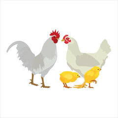 Vector ilustration of chicken livestocks in cartoon flat style.. Hen, rooster and chick domestic animals in farmland. Icon for logo, symbol, poster, infographic, digital resources, protein fauna
