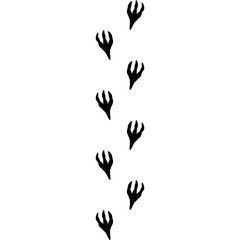 Dinosaur footprints. Leading lines of dinosaur footprints. ancient animals Footprints on the ground. dinosaur history 