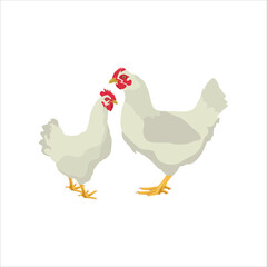 Vector ilustration of chicken livestocks in cartoon flat style.. Hen, rooster and chick domestic animals in farmland. Icon for logo, symbol, poster, infographic, digital resources, protein fauna