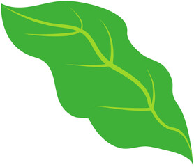 Plant Leaf Icon