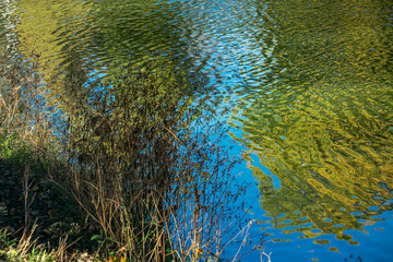 Reflections in the water of autumn nature on a clear sunny day as an abstract background.