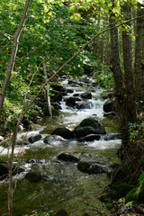 the Cuerpo de Hombre River with its cascades, feeding channels through Candelario, Ávila, Castilla y León, Spain

