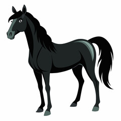 horse isolated on white background