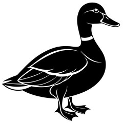 black silhouette duck isolated on white