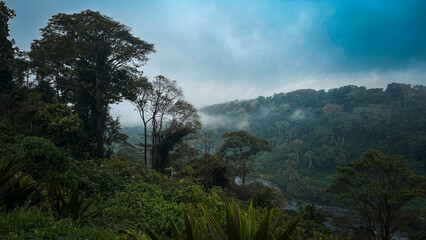 A misty landscape showcasing the lush greenery and diverse flora of Angola\'s natural habitats during early morning hours