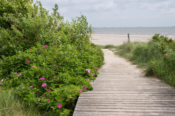 Bohlenweg zum Strand, Nieblum, Föhr, Nordsee-Insel, Nordfriesland, Schleswig-Holstein,...