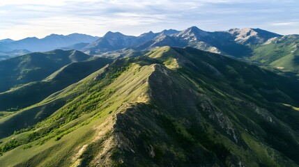 Fototapeta premium Aerial view of a rugged mountain ridge covered in green trees and vegetation