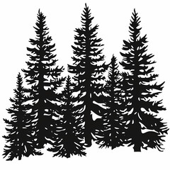 Fototapeta premium Winter forest silhouettes of fir trees and spruces with wood tree background.