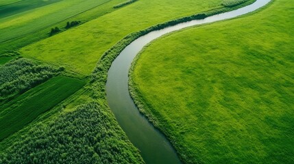 Obraz premium Serene aerial perspective of a winding river flowing gracefully through endless green meadows.