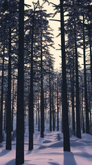 Obraz premium Winter forest silhouettes of fir trees and spruces with wood tree background.