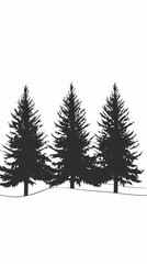 Fototapeta premium Winter forest silhouettes of fir trees and spruces with wood tree background.
